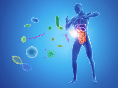 Digestion & Bien-être